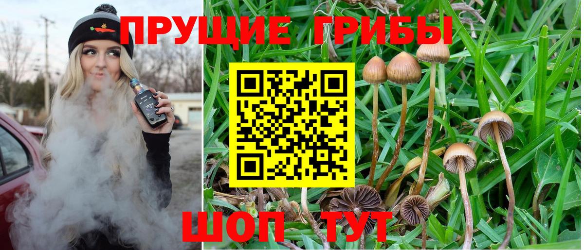 Псилоцибиновые грибы ЛСД Валуйки