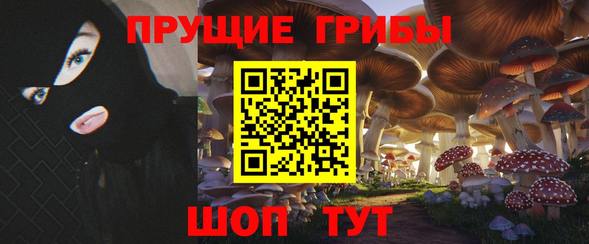 Валуйки  Галлюциногенные грибы Magic Shrooms  наркошоп  Вход с VPN 